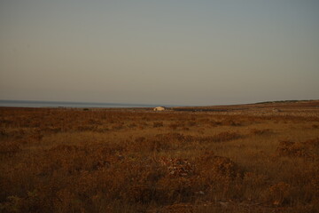 Fototapeta na wymiar characteristic landscape of balearic island
