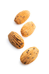 Madeleine with chocolate. Traditional French small cakes.
