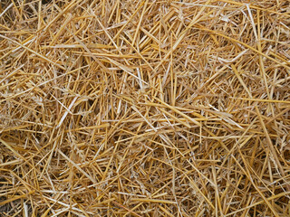 Wheat straw pile background