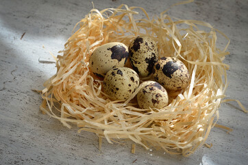 Obraz premium Quail eggs in a nest on a rustic wooden background. 
