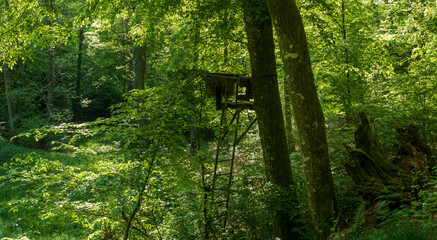 Hochsitz in Wald