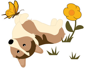 Corgi Puppy Playing in Flower Garden with Butterfly Isolated on White Background with Clipping Path Sublimation Design