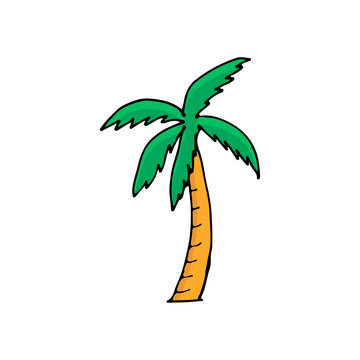 Colorful doodle palm tree illustration in vector. Colorful palm tree icon. Palm vector illustration on white bacground