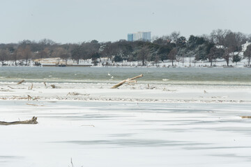 Image from The White Rock Lake Park area in East Dallas Texas on 02-15-2021 February during the snow and ice storm