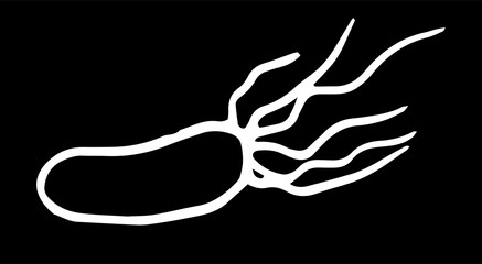 vector isolated microbe element in doodle style white outline on black background. Microbe of long oval shape with tendrils at the end for science design template