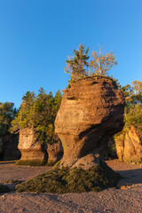 Canada, New Brunswick, Hopewell Rocks. Flowerpot Rocks formed by the great tides of the Bay of Fundy.