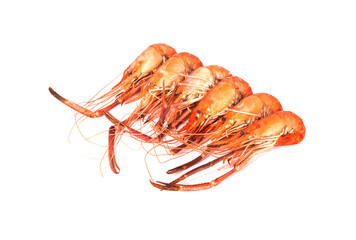 shrimps isolated on a white background