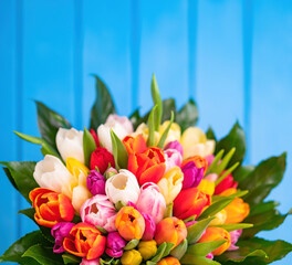 Colorful bouquet of tulips on blue wooden background. Spring tulip flowers. Greeting card with copy space for Valentine's Day, Woman's Day and Mother's Day.