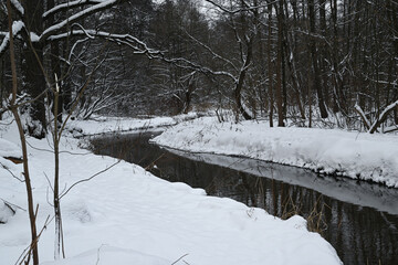 Winter river in the forest