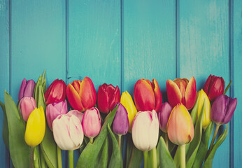 Colorful tulip flowers in a row on blue wooden background. Spring flowers. Vintage greeting card with copy space for Valentine's Day, Woman's Day and Mother's Day.