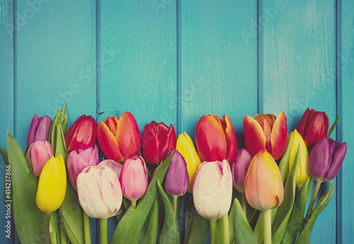 Colorful tulip flowers in a row on blue wooden background. Spring flowers. Vintage greeting card with copy space for Valentine's Day, Woman's Day and Mother's Day.