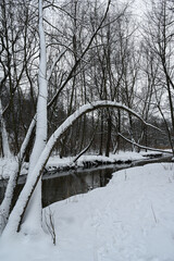 Landscape in winter by the river