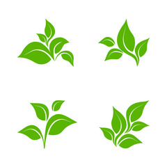 Eco icon green leaf vector illustration isolated. Green leaf sign