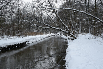 The river in winter and the snow-covered shore.