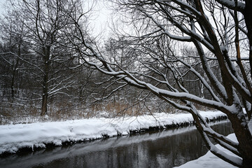 Snowy winter morning. Forest area, river.