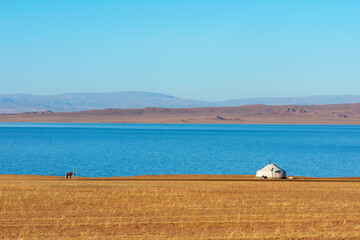 Yurt of Mongolian nomad camp on the shore of a lake. This yurt is the traditional white Mongolian...