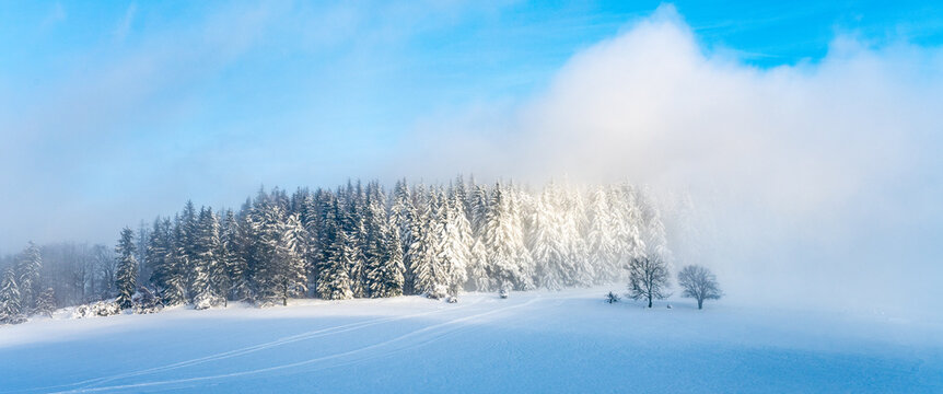 Winter monring landscape