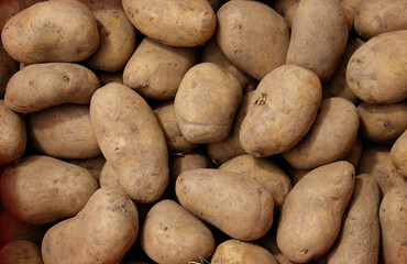 Viele frisch geerntete Kartoffeln auf dem Markt