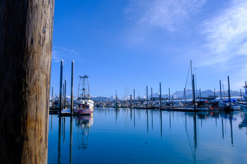 boats in the harbour