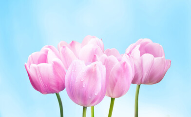 Floral greeting card for womens day, mothers day