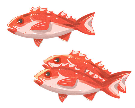 154 件の最適な ノドグロ 画像 ストック写真 ベクター Adobe Stock