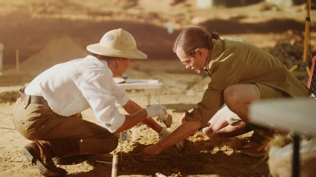 Archaeological Digging Site: Two Great Archeologists Work on Excavation Site, Carefully Cleaning, Lifting Newly Discovered Ancient Civilization Cultural Artifact, Historic Clay Tablet, Fossil Remains