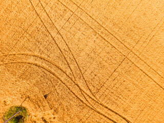Aerial view of the wheat fields.
