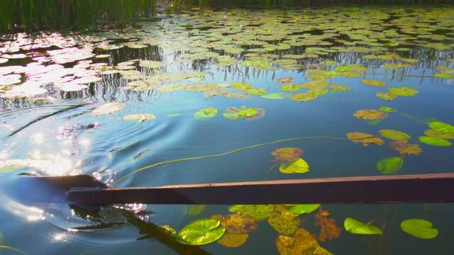 Boat sailing through the leaves of lilies at the lake in slow motion.
