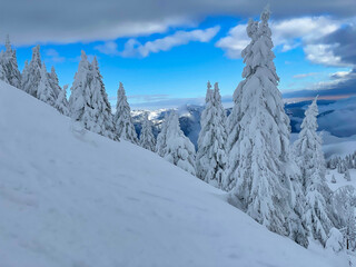 Fototapeta premium Picturesque view of the wintry backcountry of Krvavec, Slovenia on a sunny day