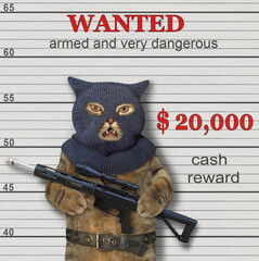 A beige cat criminal in a balaclava holds an assault rifle. Armed and very dangerous. He is wanted.