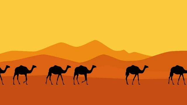 Caravan of camels walking in the desert, animation with camels