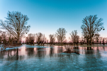 Frozen fields after flooding in D&uuml;sseldorf, Germany.