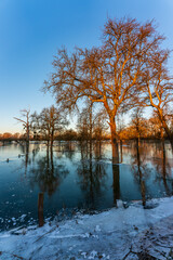 Frozen fields after flooding in Düsseldorf, Germany.