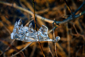 icicles illuminated with sun rays