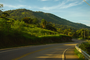 road, forest, sunlight on the road, hills on the horizon