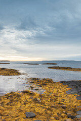 Canada, Nova Scotia, Blue Rocks. Coastal fishing village, rocky shoreline.