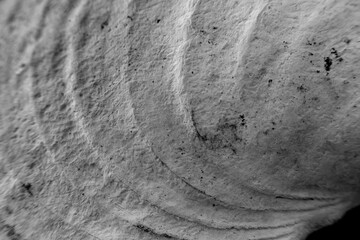 stone wall background