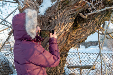 girl photographs the texture of the tree on a smartphone. girl in a winter jacket