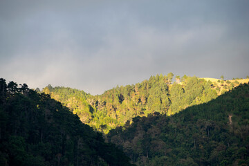 Mountain covered with trees in rural Guatemala, wooded area and source of water and oxygen, conservation nature reserve.