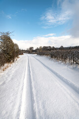 Obraz premium Snow Covered footpath (on disused railway) in the Scottish Borders