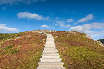 Fototapeta na wymiar Canada, Nova Scotia, Cabot Trail. Cape Breton Highlands National Park, walkway of the Skyline Trail.