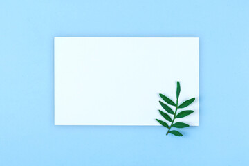 Wedding Invitation or greeting card mockup, blank template and copy space, pastel flat lay background with tropical branch and leaves