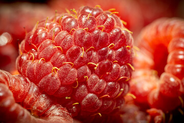 Close up of a deliciuos raspberries