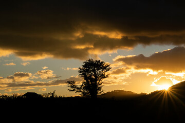 Silhouette of trees and clouds at sunset outdoors in rural Guatemala, inspiration reflection of heavenly creation.