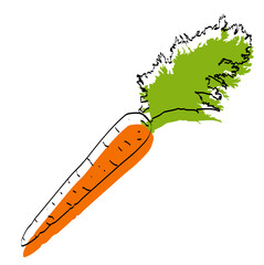 Silhouette of a vegetable. Carrot. Vector illustration.