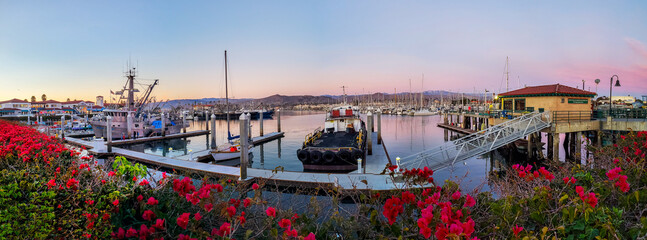 A panorama of a calm harbor of ships under a pink sunset with red and pink bougainvillea plants in...