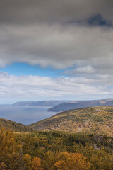 Fototapeta premium Canada, Nova Scotia, Cabot Trail. Pleasant Bay, Cape Breton Highlands National Park, elevated view of Pleasant Bay.