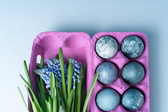 Purple egg packaging with eggs and muscari flowers on blue background. Festive Easter concert.