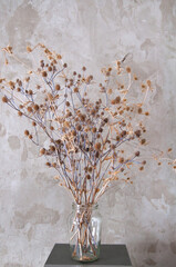 bouquet of dried wild flowers on the background of a concrete grey background