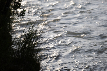 reflection of the sun on water